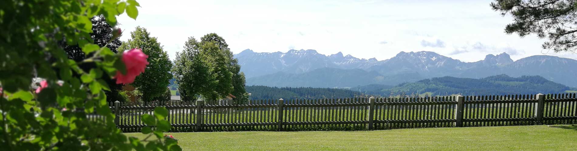Aktuelles Pension Heim